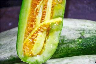 吃瓜的网红叫啥来,揭秘吃瓜网红的爆红之路 第2张 吃瓜的网红叫啥来,揭秘吃瓜网红的爆红之路 第2张